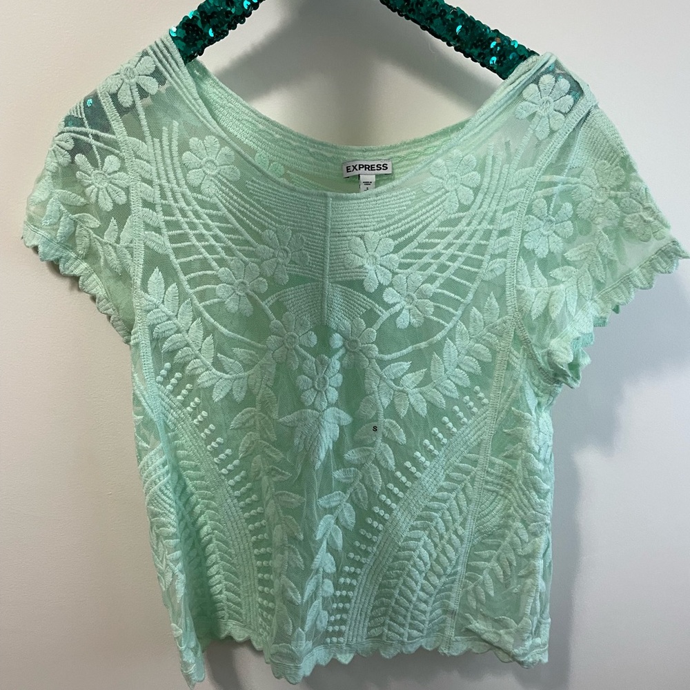 Express embroidery mint top semi sheer fancy nwt